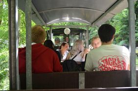 Gemütlich war die Fahrt ins Grüne mit der Schortefeldbahn.
